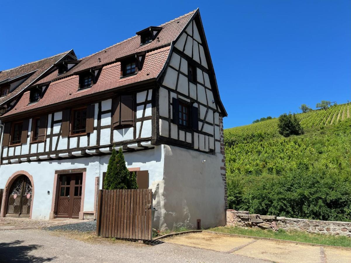 Domaine La Cour Des Nobles - Demeure, Maison Et Appartements Au Coeur De Riquewihr Exterior photo