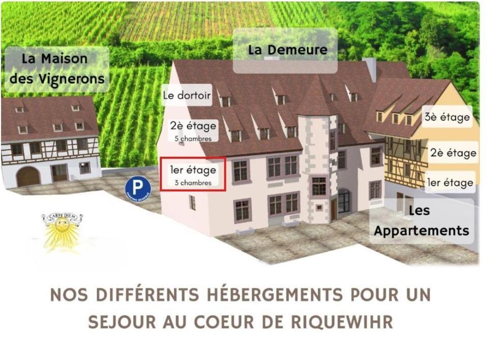 Domaine La Cour Des Nobles - Demeure, Maison Et Appartements Au Coeur De Riquewihr Room photo